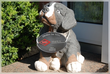 VDH-Zucht2015